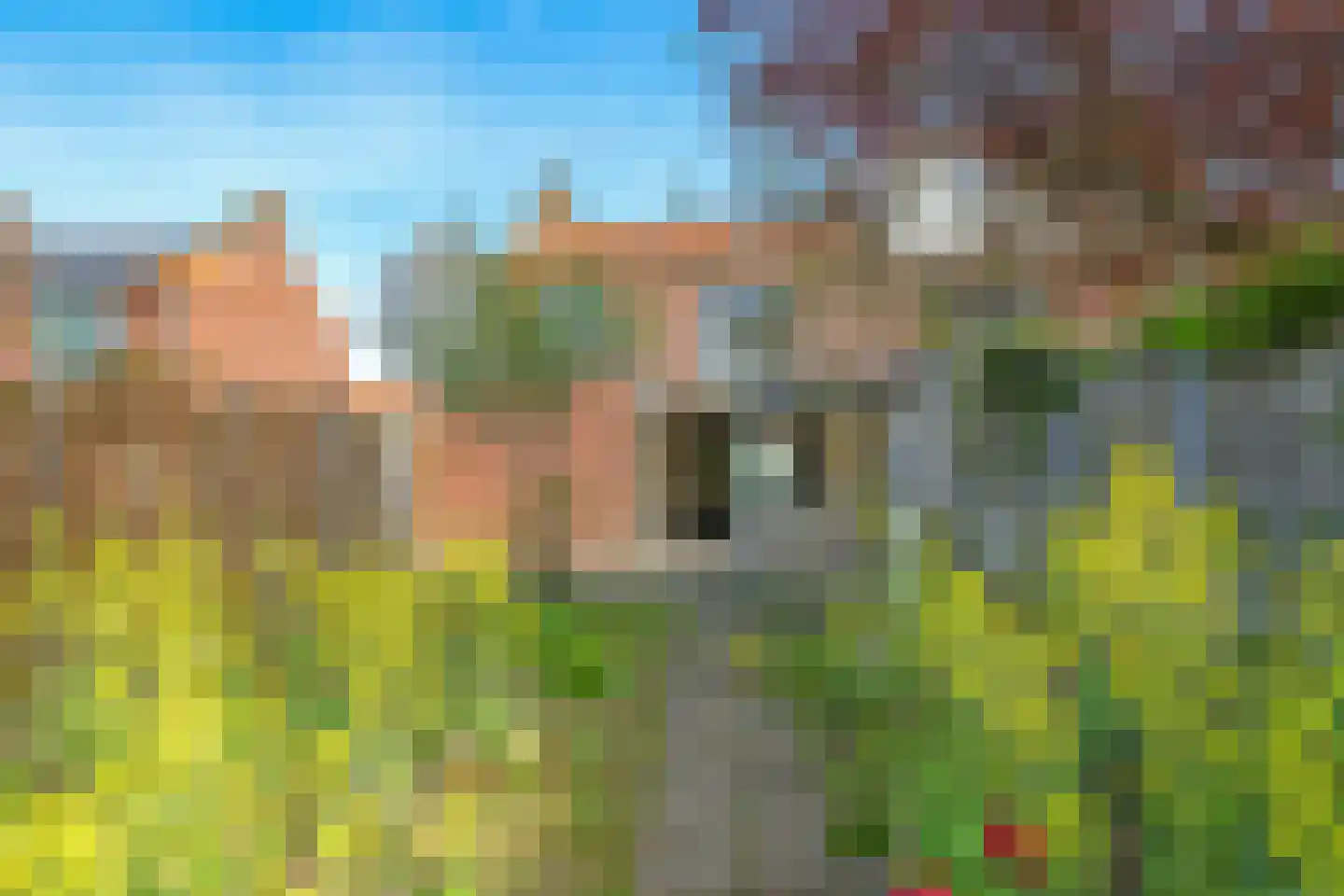 van Limburg Stirumlaan 78 Doetinchem thumbnail 42