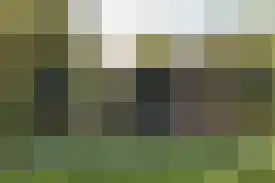 Van Limburg Stirumlaan 85 Tilburg thumbnail 36