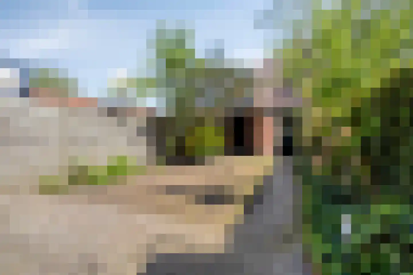 Van Limburg Stirumlaan 85 Tilburg thumbnail 7