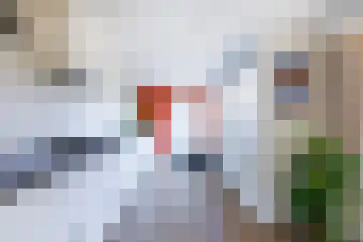 van Limburg Stirumlaan 89 Doetinchem thumbnail 10