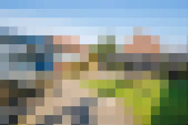 van Limburg Stirumlaan 89 Doetinchem thumbnail 16