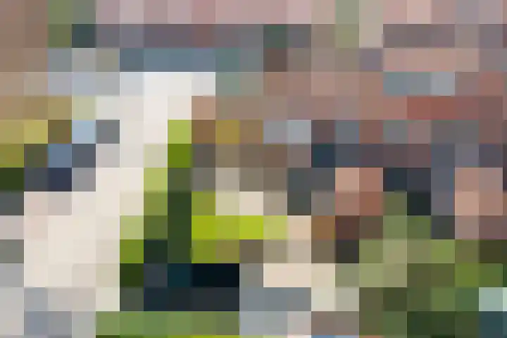 van Limburg Stirumlaan 89 Doetinchem thumbnail 39