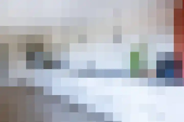 van Limburg Stirumlaan 89 Doetinchem thumbnail 9