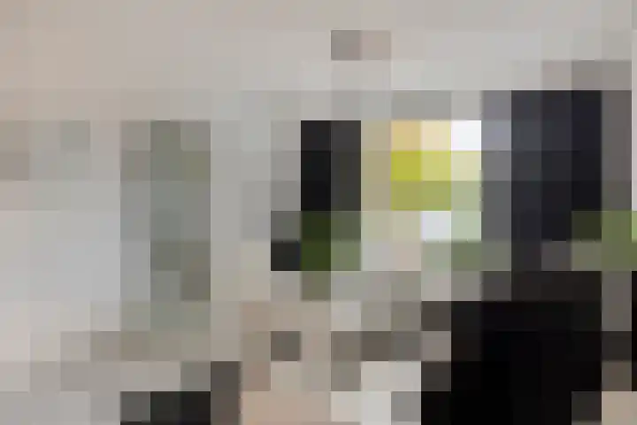 Van Limburg Stirumlaan 91 Tilburg thumbnail 14