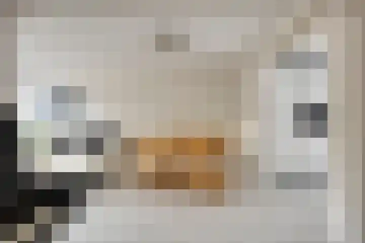 Van Limburg Stirumlaan 91 Tilburg thumbnail 16