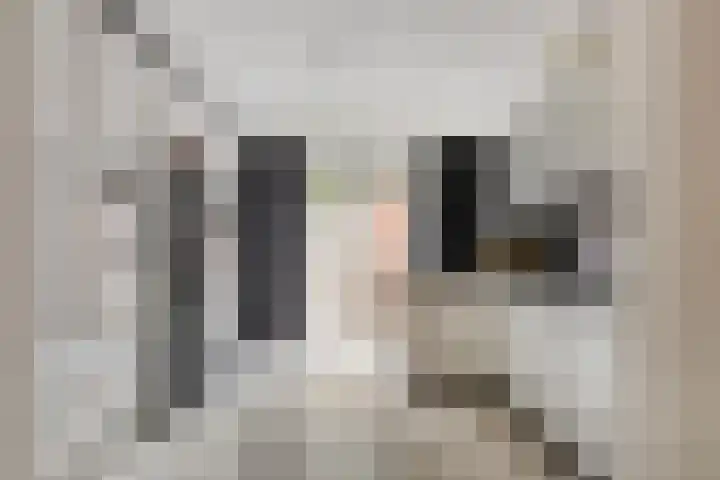 Van Limburg Stirumlaan 91 Tilburg thumbnail 18