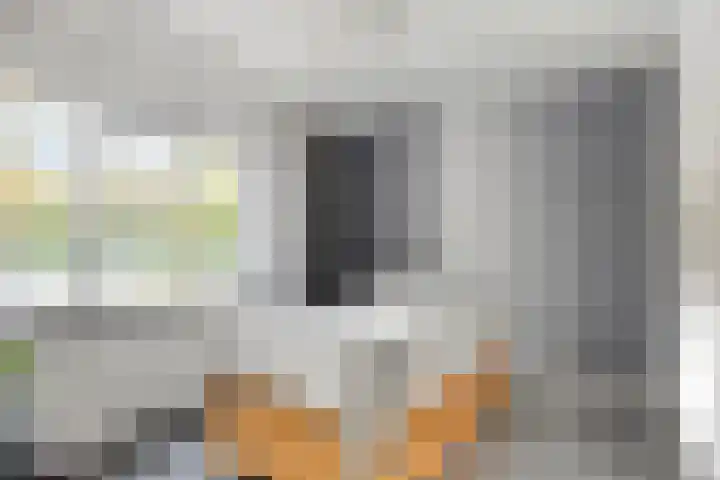 Van Limburg Stirumlaan 91 Tilburg thumbnail 27