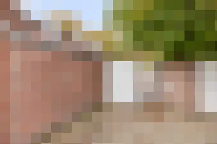 Van Limburg Stirumlaan 91 Tilburg thumbnail 36