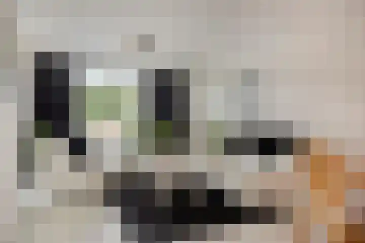 Van Limburg Stirumlaan 91 Tilburg thumbnail 4