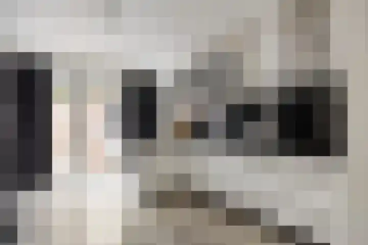 Van Limburg Stirumlaan 91 Tilburg thumbnail 5