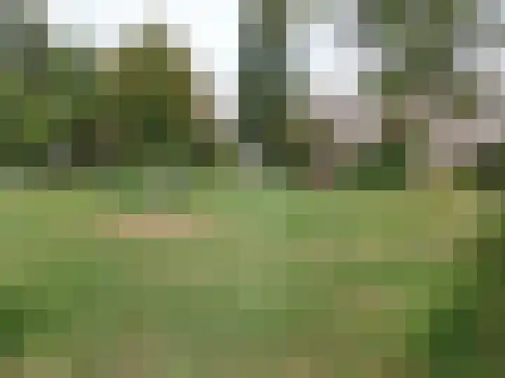 Van Limburg Stirumplantsoen 11 Dordrecht thumbnail 27