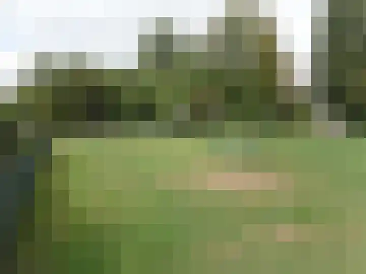 Van Limburg Stirumplantsoen 11 Dordrecht thumbnail 28