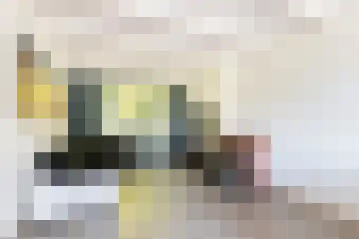 Van Limburg Stirumplantsoen 14 Dordrecht thumbnail 4