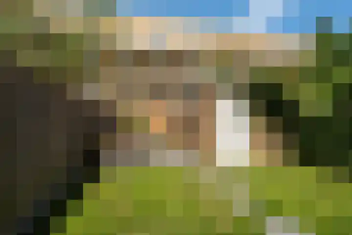 Van Limburg Stirumplantsoen 24 Dordrecht thumbnail 33
