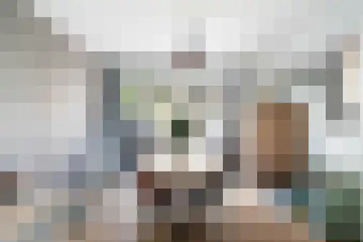 Van Limburg Stirumplantsoen 24 Dordrecht thumbnail 4