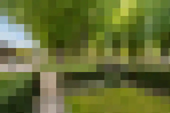 Van Limburg Stirumplantsoen 24 Dordrecht thumbnail 7