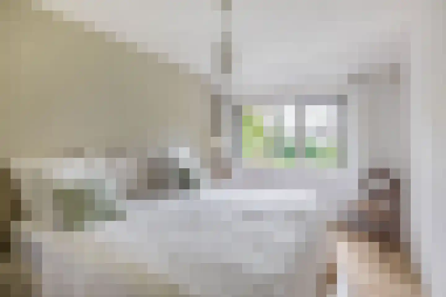 van Limburg Stirumplantsoen 24 Zwijndrecht thumbnail 26