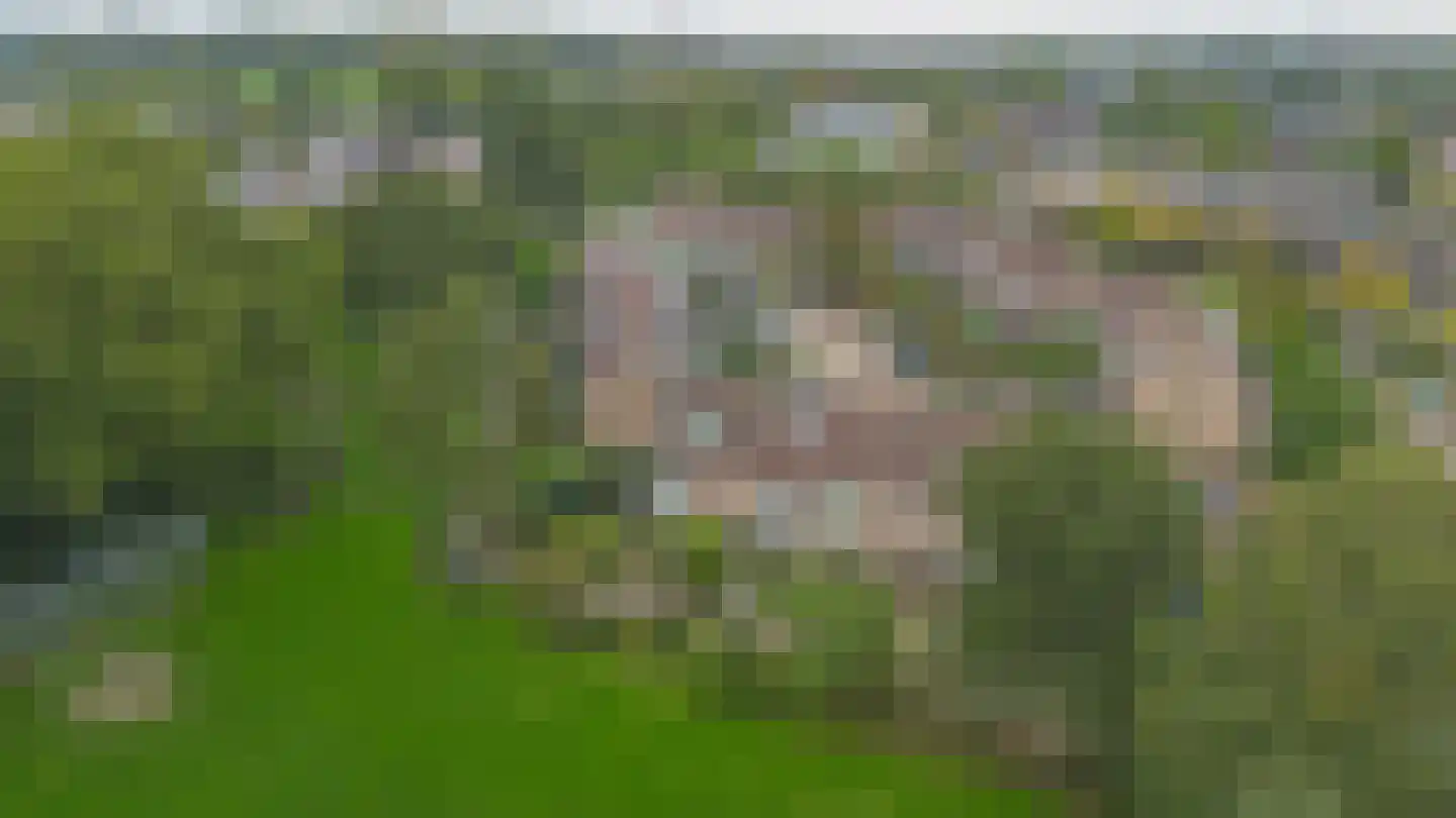 van Limburg Stirumplantsoen 24 Zwijndrecht thumbnail 38