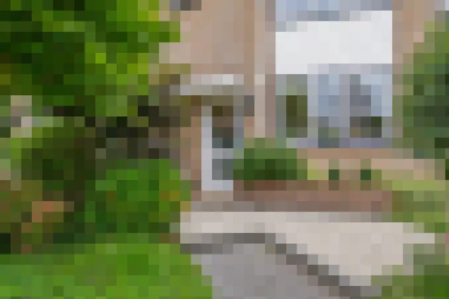 van Limburg Stirumplantsoen 24 Zwijndrecht thumbnail 5