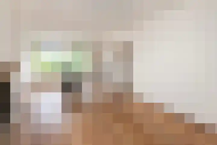 Van Limburg Stirumplantsoen 32 Dordrecht thumbnail 4