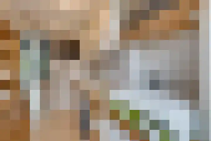 Van Limburg Stirumplein 24 2 Amsterdam thumbnail 26