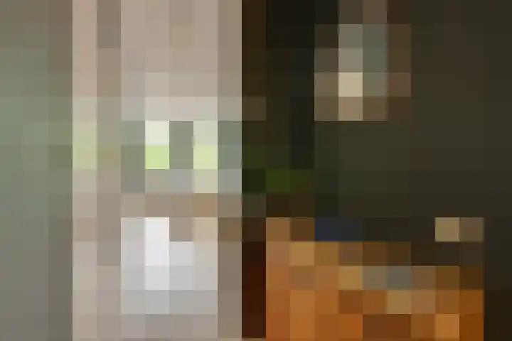 Van Limburg Stirumplein 24 2 Amsterdam thumbnail 6