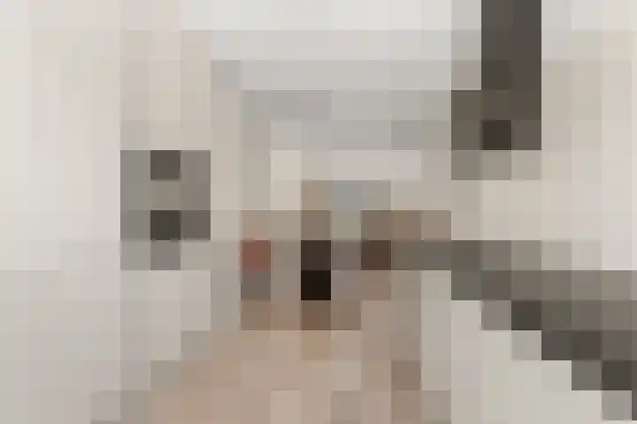 van Limburg Stirumstraat 1 Gendt thumbnail 7