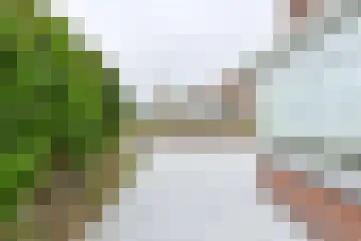 van Limburg Stirumstraat 105 Hoogeveen thumbnail 73