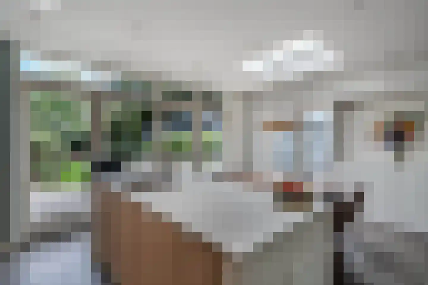 Van Limburg Stirumstraat 17 Huizen thumbnail 19
