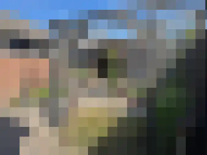 van Limburg Stirumstraat 2 Coevorden thumbnail 8