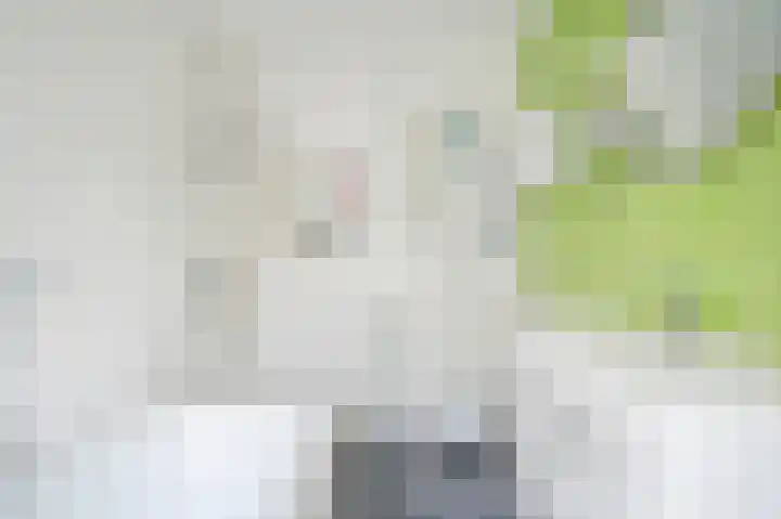Van Limburg Stirumstraat 2 Leiden thumbnail 5