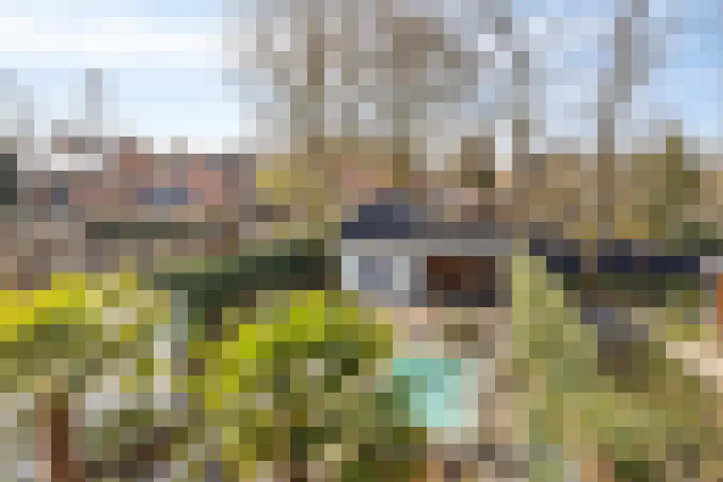 Van Limburg Stirumstraat 22 Veenendaal thumbnail 32