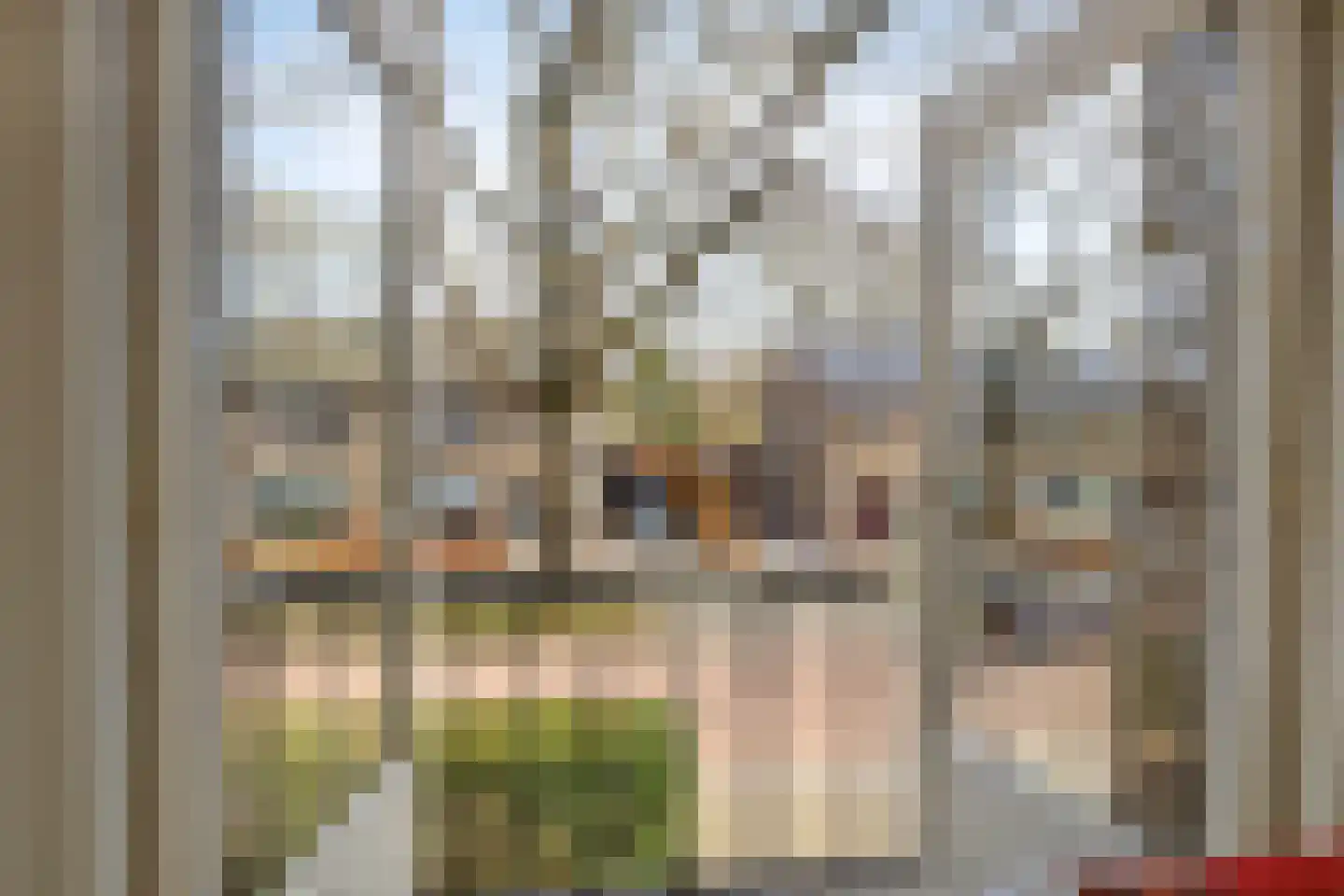 Van Limburg Stirumstraat 22 Veenendaal thumbnail 35