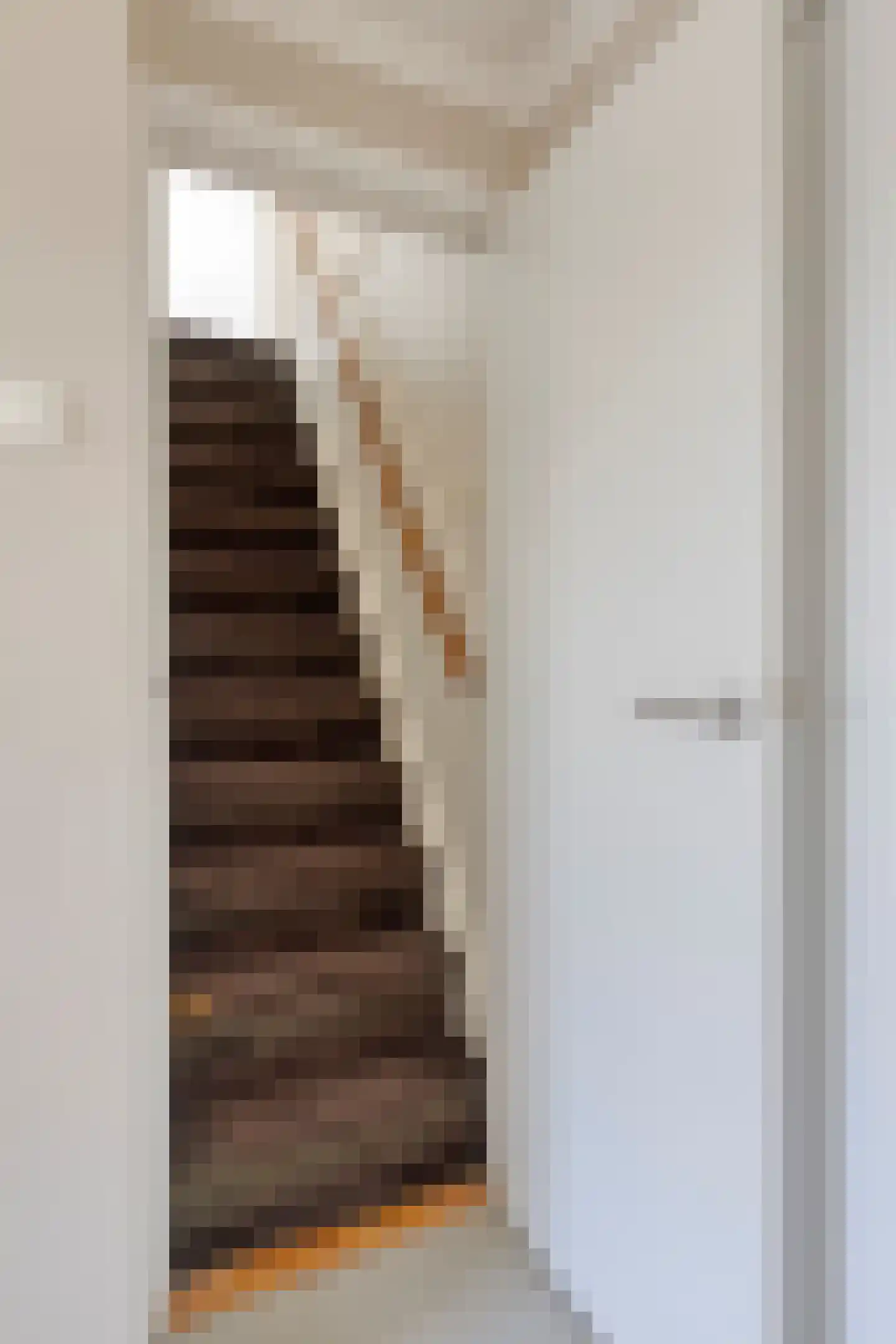 Van Limburg Stirumstraat 22 Veenendaal thumbnail 38