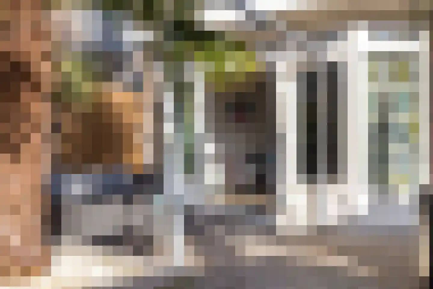 Van Limburg Stirumstraat 22 Veenendaal thumbnail 45