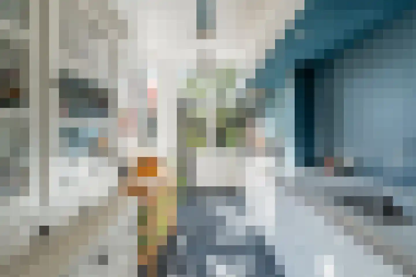 Van Limburg Stirumstraat 220 Den Haag thumbnail 18