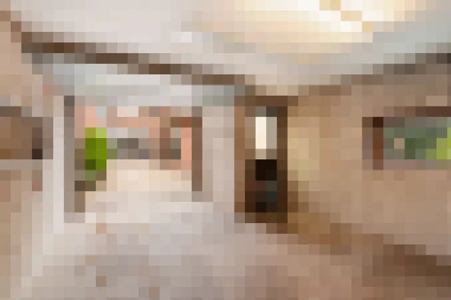 van Limburg Stirumstraat 25 Noordwijk thumbnail 37