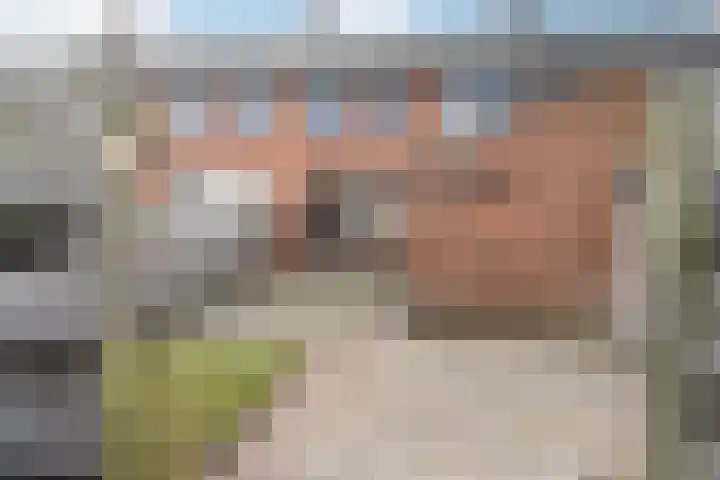 van Limburg Stirumstraat 3 Coevorden thumbnail 27