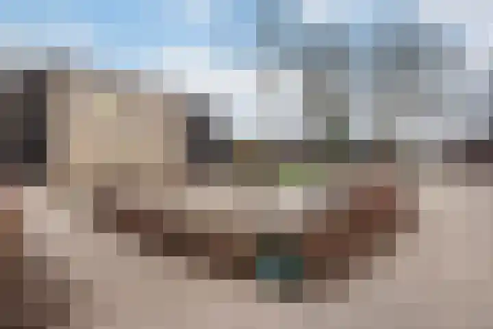 van Limburg Stirumstraat 3 Coevorden thumbnail 31