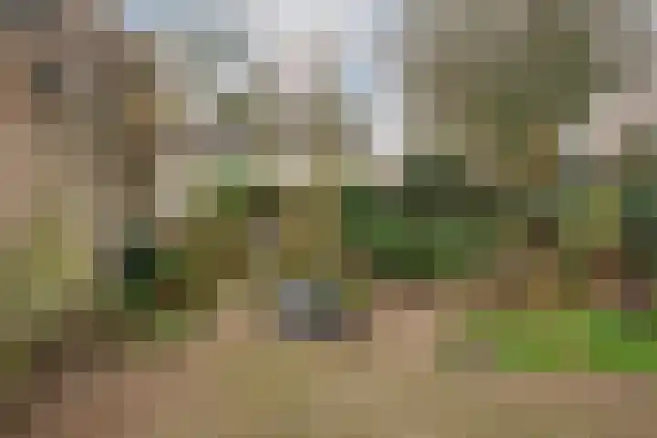 Van Limburg Stirumstraat 3 Oss thumbnail 23