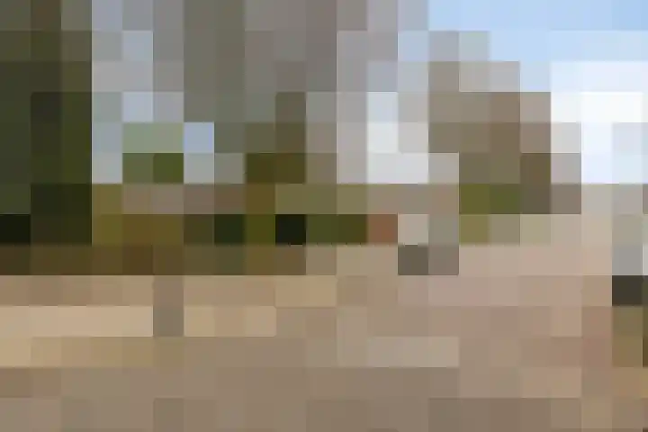 Van Limburg Stirumstraat 3 Oss thumbnail 30