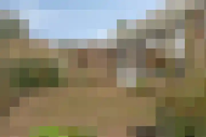 Van Limburg Stirumstraat 3 Oss thumbnail 4