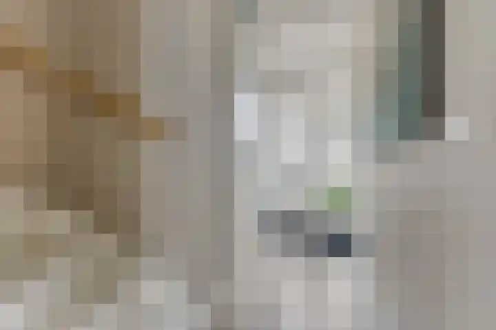 Van Limburg Stirumstraat 3 Warmond thumbnail 4