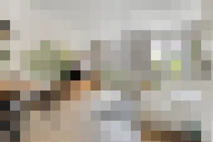 Van Limburg Stirumstraat 3 Warmond thumbnail 6