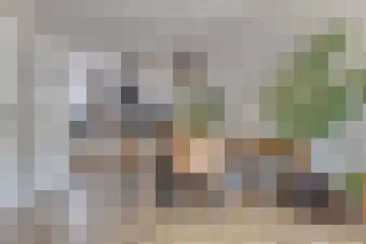 Van Limburg Stirumstraat 3 Warmond thumbnail 8