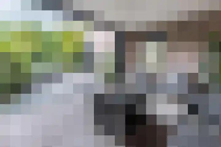 van Limburg Stirumstraat 4 Hoogeveen thumbnail 34