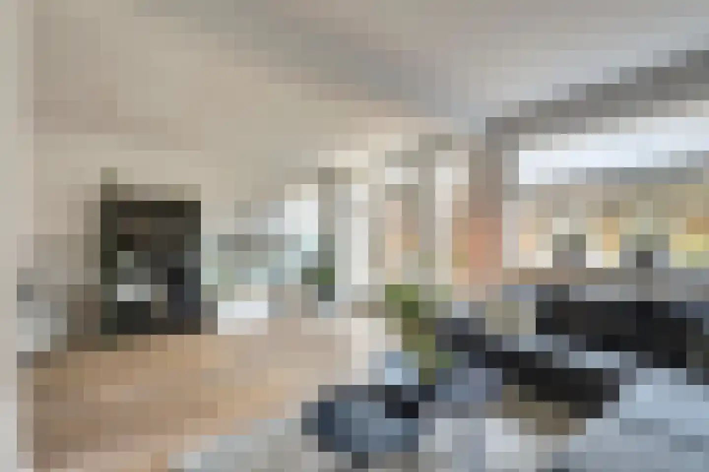 Van Limburg Stirumstraat 45 Almkerk thumbnail 16