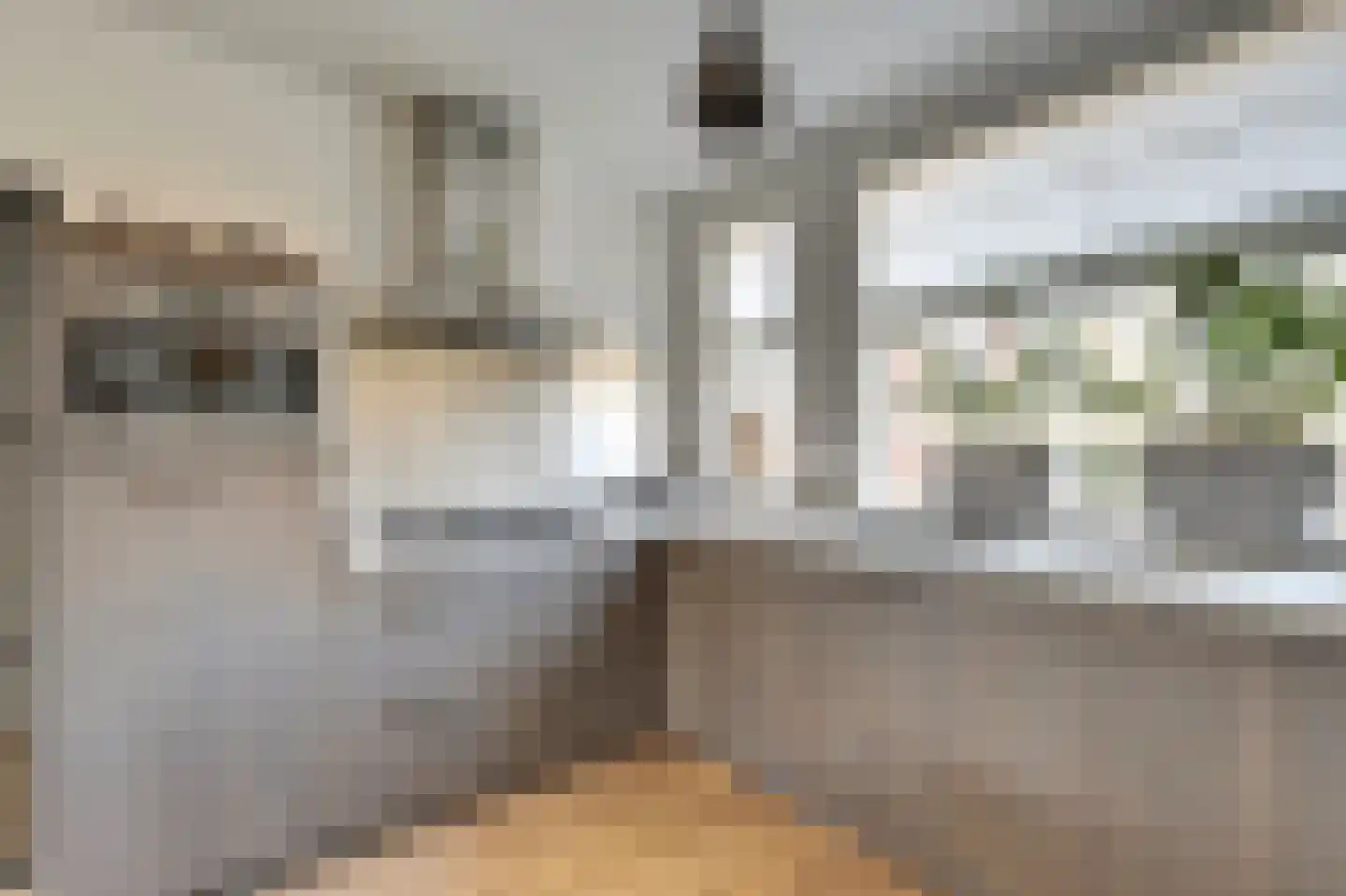 Van Limburg Stirumstraat 45 Almkerk thumbnail 26