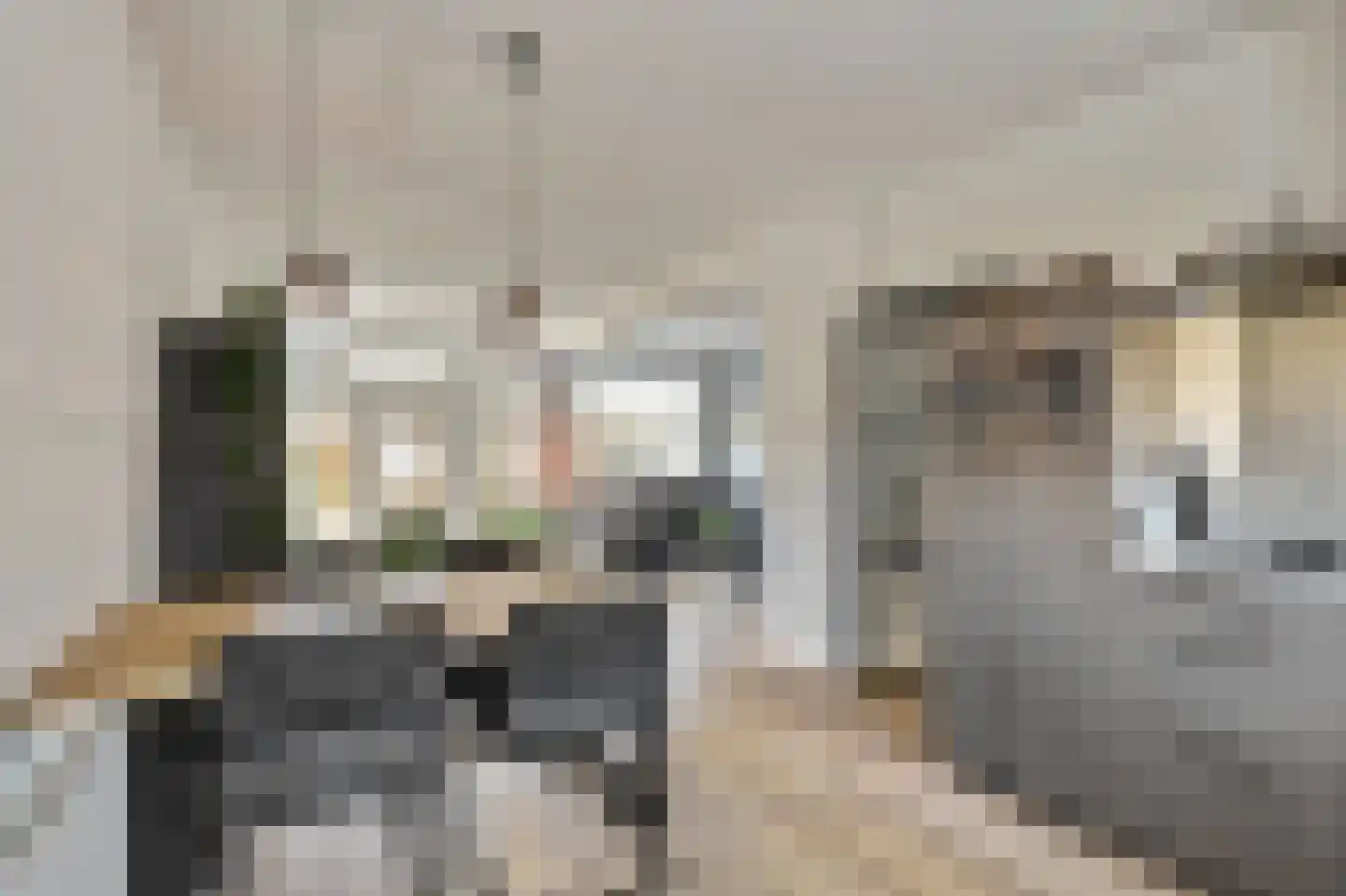 Van Limburg Stirumstraat 45 Almkerk thumbnail 29