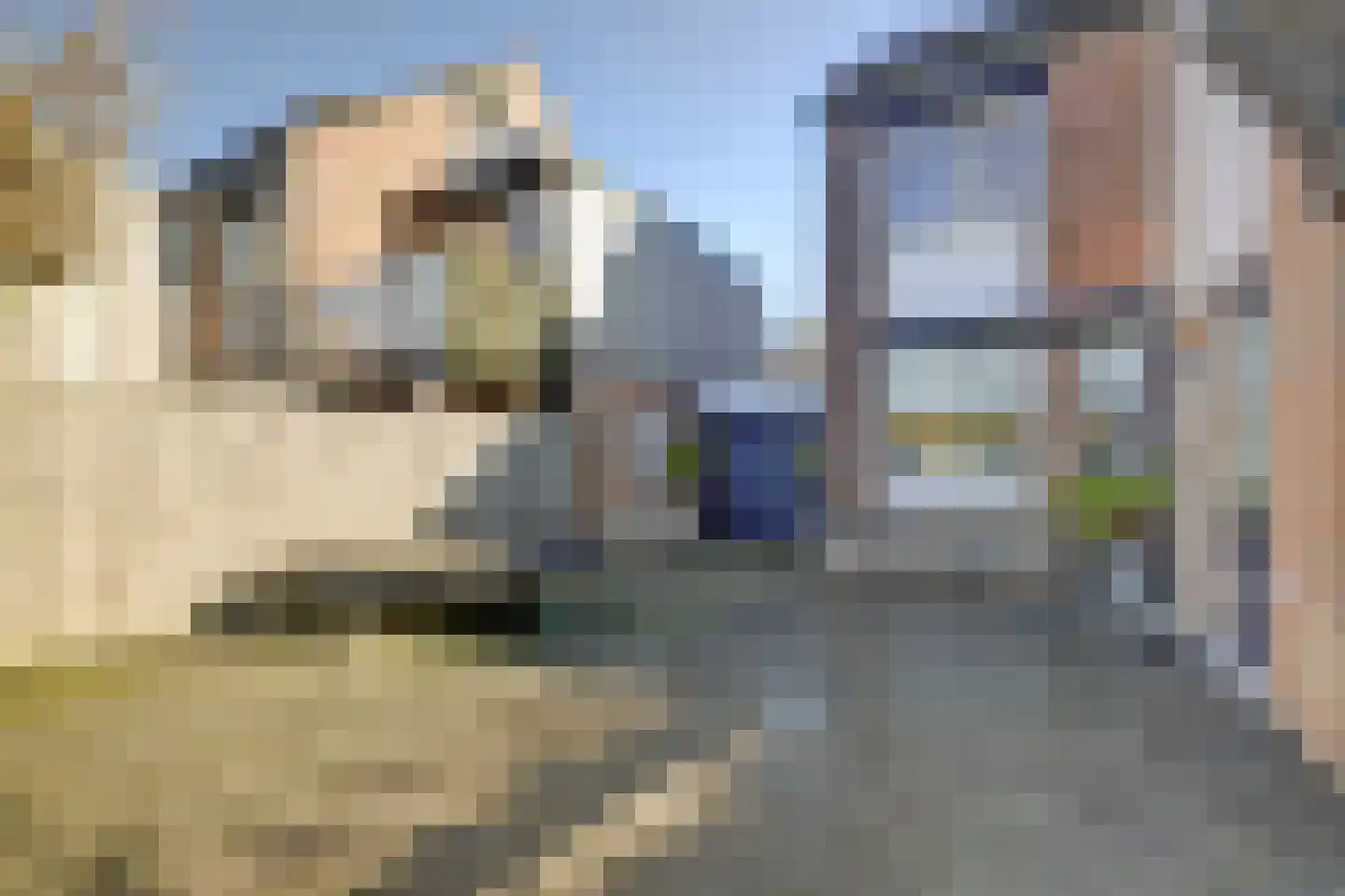 Van Limburg Stirumstraat 45 Almkerk thumbnail 4